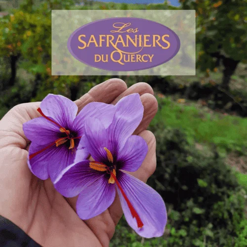 Membre Les Safraniers du Quercy Chateau des Fontanelles